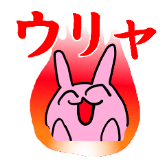 [LINEスタンプ] ウリャオイ！アイドル コールスタンプ