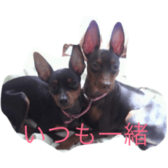 [LINEスタンプ] jig. wap