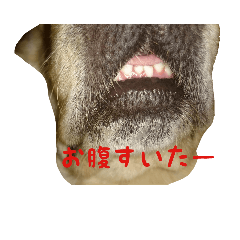 [LINEスタンプ] 小次郎1