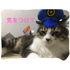 [LINEスタンプ] myu_chan