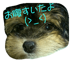 [LINEスタンプ] miran mutter2