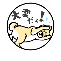 [LINEスタンプ] 柴犬のモチ君