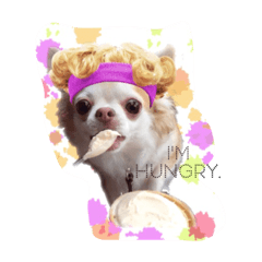 [LINEスタンプ] 気分屋エルちゃんの日常