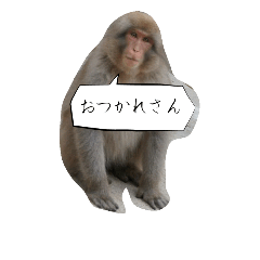 [LINEスタンプ] 目で物を言う猿