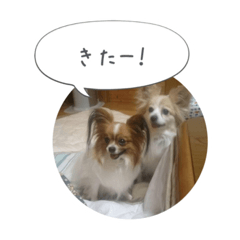 [LINEスタンプ] はなとチュッちゃん1