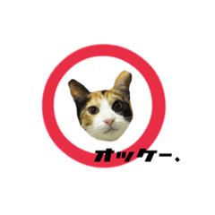 [LINEスタンプ] 我が家のシャンパと巨匠