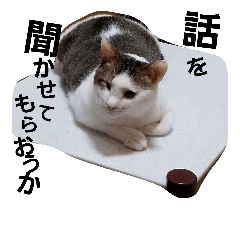 [LINEスタンプ] にゃーーーー！2