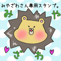 [LINEスタンプ] みやざわさん専用スタンプの画像（メイン）