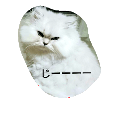 [LINEスタンプ] ねこ と