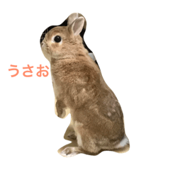 [LINEスタンプ] 船乗り うさお