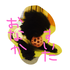 [LINEスタンプ] DOGDA