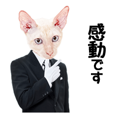 [LINEスタンプ] 執事猫 カールアップカフェ公式スタンプ