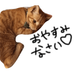 [LINEスタンプ] 猫のおかかとくうたろう2