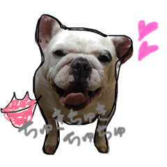 [LINEスタンプ] ココシャネル