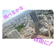 The 景色