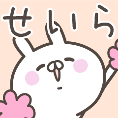 [LINEスタンプ] ☆★せいら★☆ベーシックパック