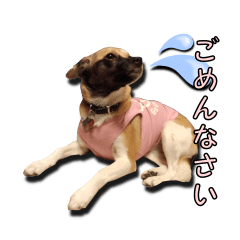 [LINEスタンプ] nanocolocre
