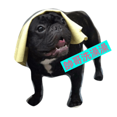 [LINEスタンプ] Blessing b 