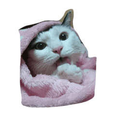 [LINEスタンプ] Muminn .