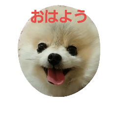 [LINEスタンプ] fuwafuwaponchan