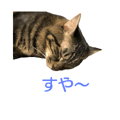 [LINEスタンプ] むぎトム2