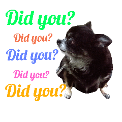 [LINEスタンプ] 愛犬のスタンプ3