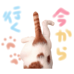 [LINEスタンプ] サスケと一緒
