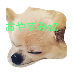 [LINEスタンプ] ZZ3