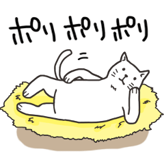 [LINEスタンプ] ネコのムーちゃんの画像（メイン）