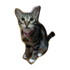 [LINEスタンプ] Wei Ke Daily