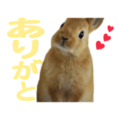 [LINEスタンプ] うさぎのさたんとりったん