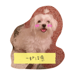 [LINEスタンプ] Rubby Daily