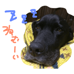 [LINEスタンプ] I love REN！