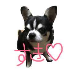 [LINEスタンプ] ぶさかわライフ⁉︎