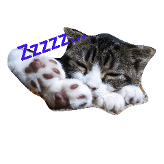 [LINEスタンプ] ペットの福ちゃん