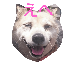 [LINEスタンプ] 我が家のタロー