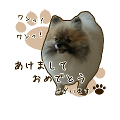 [LINEスタンプ] ポメラニアンず*②