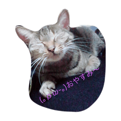 [LINEスタンプ] 第1弾 うちのみーちゃん