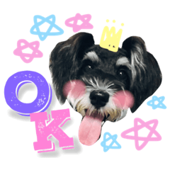 [LINEスタンプ] ミニシュナのシェル