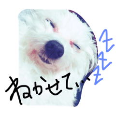 [LINEスタンプ] シフォン