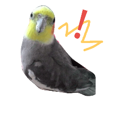 [LINEスタンプ] Bird 's daily life