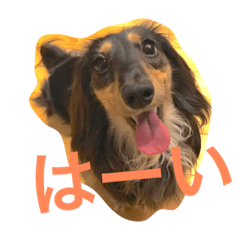 [LINEスタンプ] DAKS FACE 2