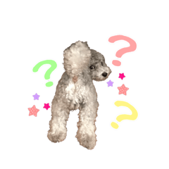 [LINEスタンプ] つぶちゃん専用スタンプ