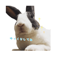[LINEスタンプ] ひがわりマメ様