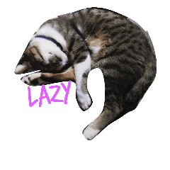 [LINEスタンプ] つねに眠る