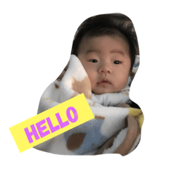 [LINEスタンプ] 我が家のぜんくん