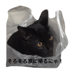 [LINEスタンプ] ginji＆purine