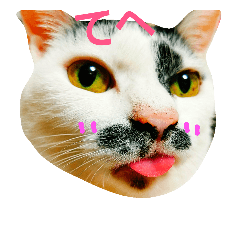 [LINEスタンプ] ふわわとわた2