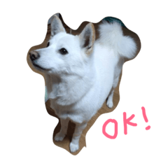 [LINEスタンプ] クランぽんだよ