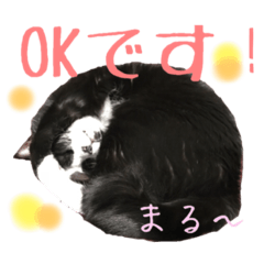 [LINEスタンプ] ハチワレ猫のマロンくんPart2